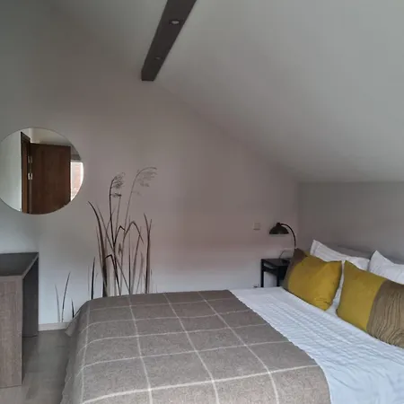 Rasos 3* Palanga