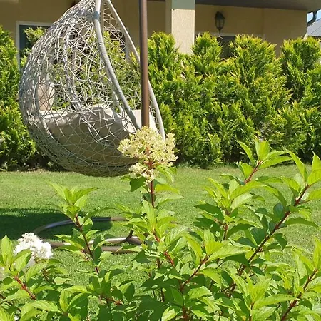 Rasos Guest house